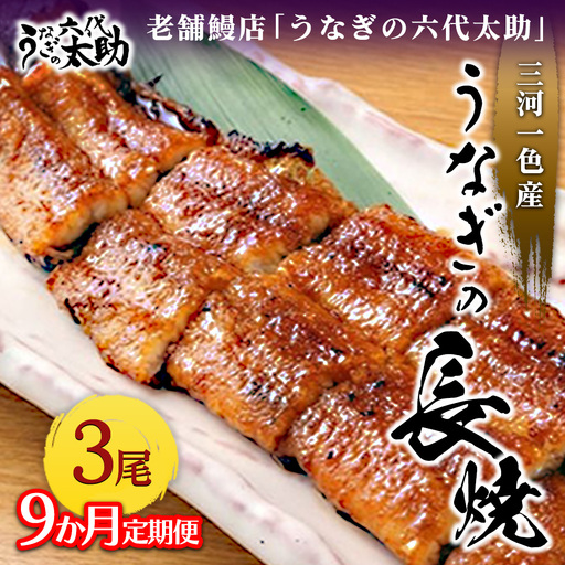 【9ヶ月定期便】老舗鰻店「うなぎの六代太助」 三河一色産 うなぎの長焼 3尾