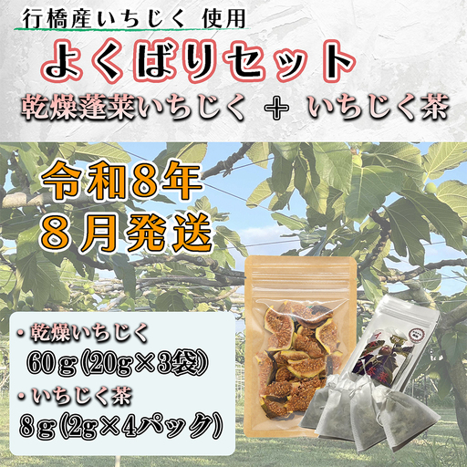 よくばりセット 乾燥蓬莱いちじく60g(20g×3袋) + いちじく茶 8g(2g×4パック)