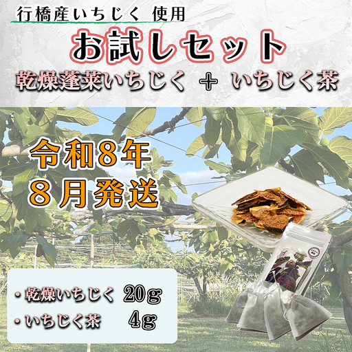 お試しセット 乾燥蓬莱いちじく20g + いちじく茶 4g(2g×2パック)