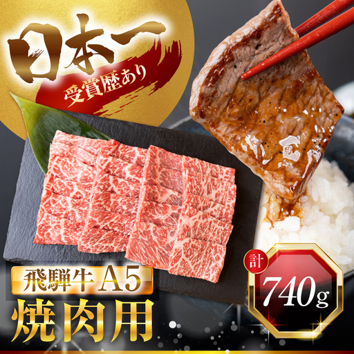 飛騨牛 A5 焼肉用 定期便 740g｜焼肉用