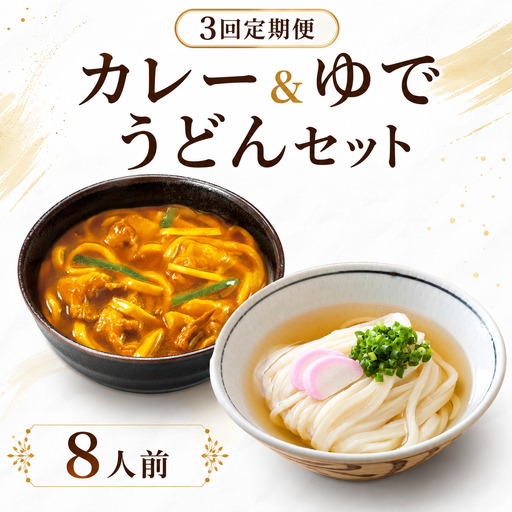 【定期便3回毎月】さぬきうどん ＆ カレーうどん セット 8人前 定期便 出汁 スープ付き
