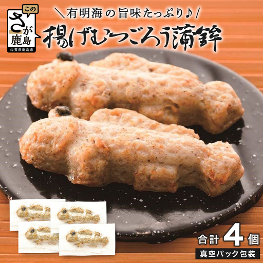 揚げむつごろう蒲鉾 4個（個包装 真空パック）佐賀県 鹿島市 送料無料 A-252