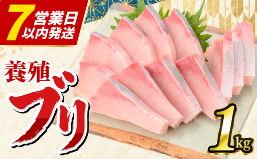 ぶり 刺身 約1,000g （ロイン） N’ｓファクトリー