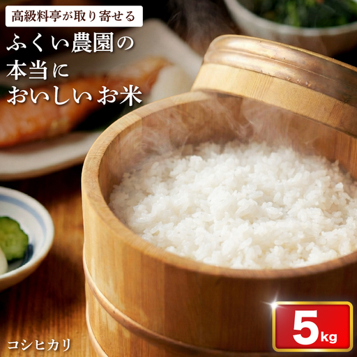 令和8年産 よさ恋美人 5kg ふくい農園