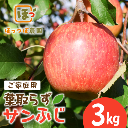 先行予約 りんご 家庭用 サンふじ 3kg りんご