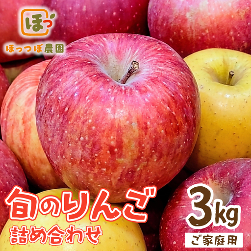 先行予約 家庭用 りんご 品種おまかせ 3kg りんご