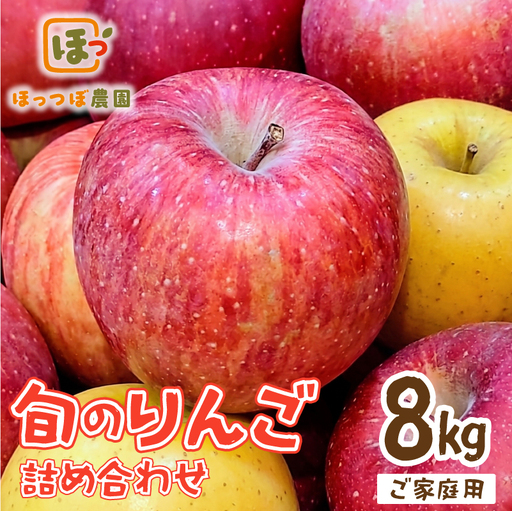 先行予約 家庭用 りんご 品種おまかせ 8kg りんご