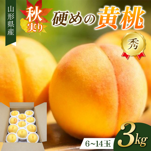 秋実り 硬めの黄桃 3kg 秀品 FSY-2747