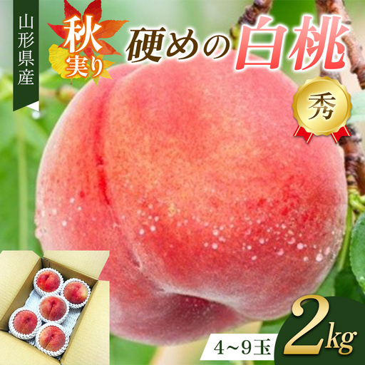 秋実り 硬めの白桃 2kg 秀品 FSY-2748