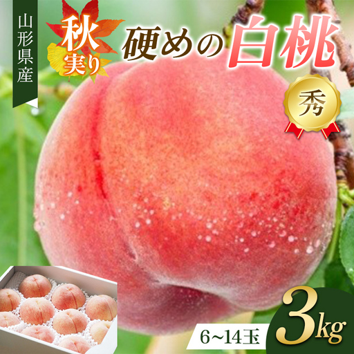 秋実り 硬めの白桃 3kg 秀品 FSY-2749
