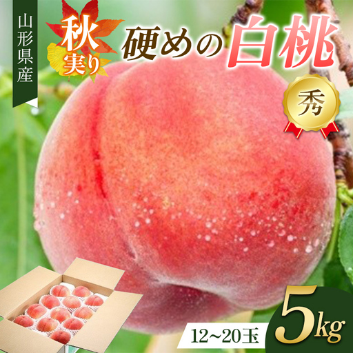 秋実り 硬めの白桃 5kg 秀品 FSY-2750