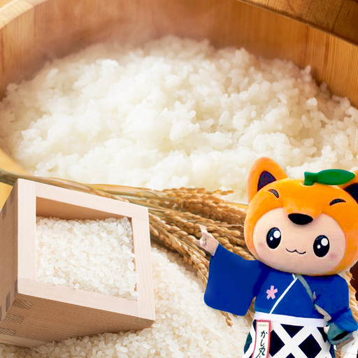 令和7年産 佐賀県産 厳選 さがびより 白米 4kg(2kg×2袋)A-148 精米 お米