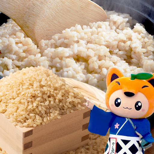 令和7年産 佐賀県産 厳選 さがびより 玄米 4kg(2kg×2袋)A-149 精米 お米