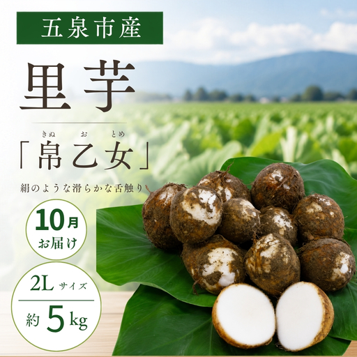 [10月中にお届け]さといも(帛乙女)小玉サイズ・5kg 五泉園芸組織連絡協議会 | 新潟県 五泉市 さといも サトイモ 野菜 帛乙女