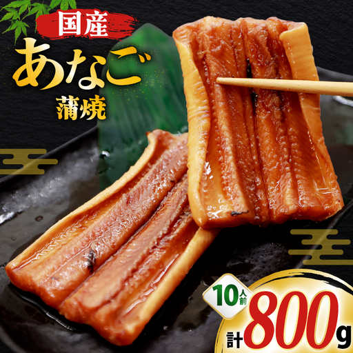 あなご 国産 蒲焼 カット 10パック 10人前 800g