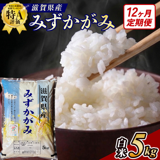 【令和8年産 新米】【定期便】近江米みずかがみ 5kgx12回定期便（精米）