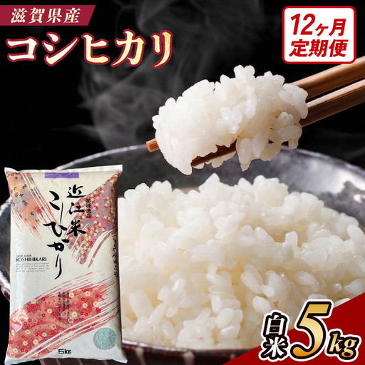 【令和8年産 新米】【定期便】近江米コシヒカリ 5kgx12回定期便（精米）