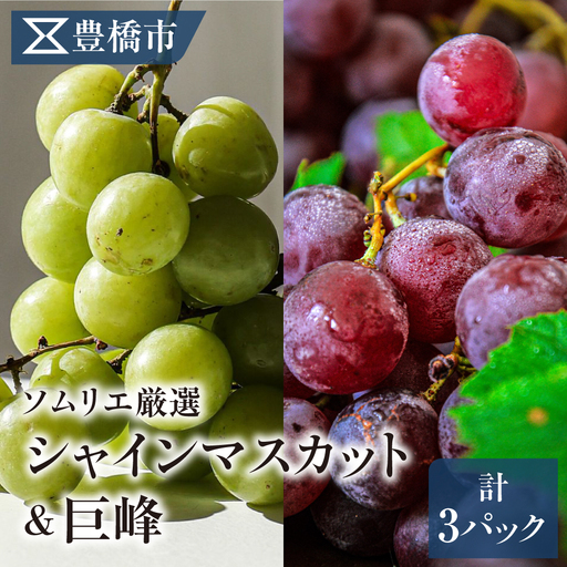 《先行予約》豊橋市産 ぶどう2種詰め合わせ 産地直送 種なし巨峰 シャインマスカット 食べ比べ