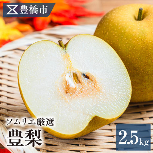 豊橋市産 梨 2.5kg(5〜8玉・品種おまかせ) 産地直送 旬の品種 幸水 豊水 秋月 新高