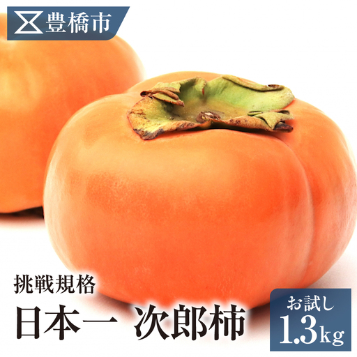 豊橋市産 次郎柿 お試し用 1.3kg 産地直送