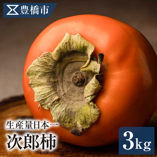 豊橋市産 次郎柿 正品 3kg 産地直送