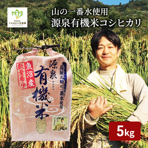 令和8年産 先行予約 山の一番水使用 源泉有機米コシヒカリ 精米5kg 米 こめ お米 コメ こしひかり 新潟県 魚沼市 魚沼 魚沼産