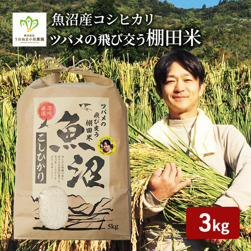 令和8年産 先行予約 ツバメの飛び交う棚田米 精米3kg お米 白米 ライス ご飯 ブランド米 銘柄米 コシヒカリ 魚沼産コシヒカリ 新潟県産 魚沼市産