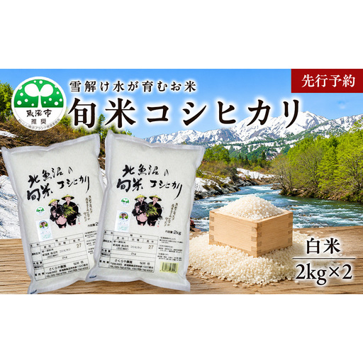 [先行予約 令和8年産]魚沼の旬米 コシヒカリ [精米]2kg×2 お米