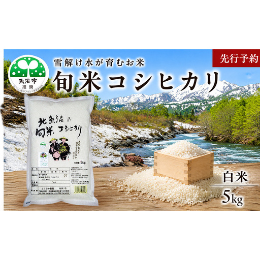 [先行予約 令和8年産]魚沼産 コシヒカリ 魚沼の旬米コシヒカリ 精米 5kg お米