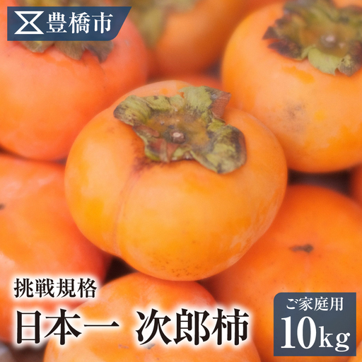 豊橋市産 次郎柿 ご家庭用 10kg 産地直送