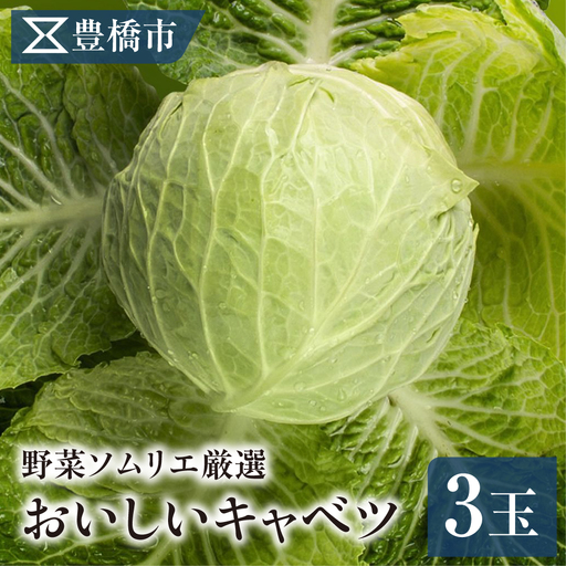 [先行予約]豊橋市産 キャベツ 3玉(計3.5kg) 産地直送