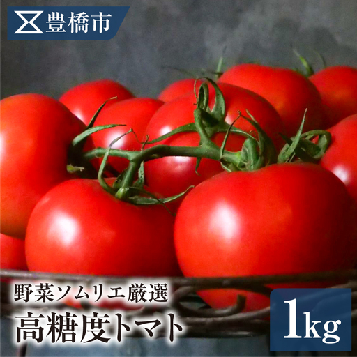 《先行予約》豊橋市産 高糖度トマト 1kg 産地直送