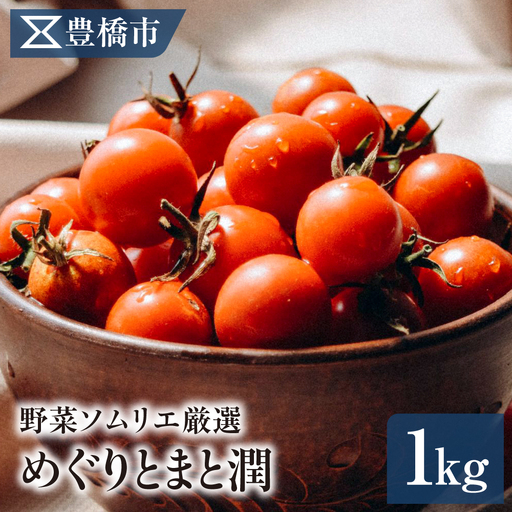 [先行予約]豊橋市産 めぐりとまと潤(ミニトマト)1kg 産地直送
