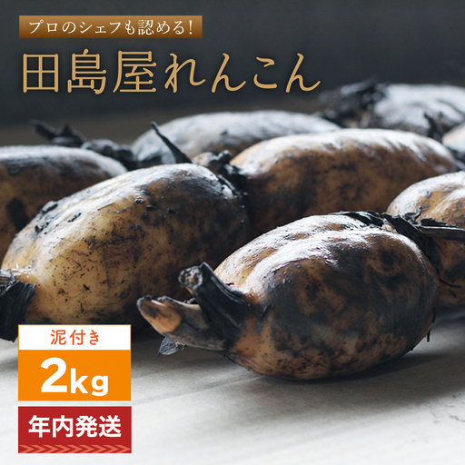 【年内発送】れんこん2kg（泥付き）[IAV010]