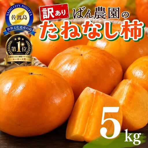 柿 たねなし柿 5kg 訳あり