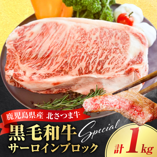 北さつま牛 サーロイン ブロック K137-007 肉 お肉 牛肉 黒毛和牛