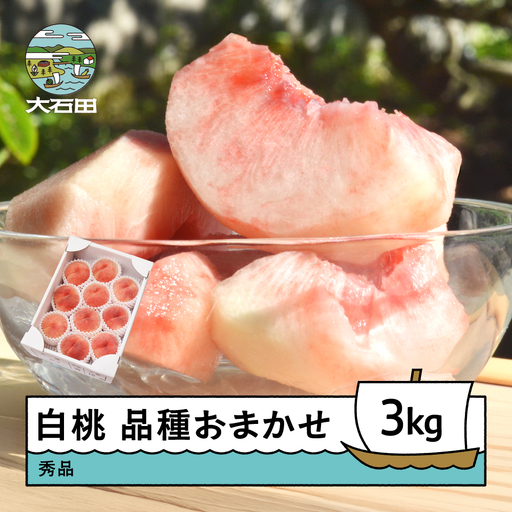 もも 白桃 品種おまかせ 3kg 令和8年産 2026年産 ry-mohtx3000