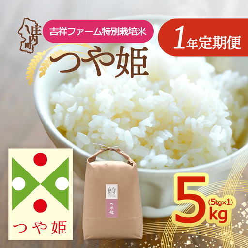 【定期便】＜令和8年産＞つや姫 5kg×1年間 特別栽培米 毎月お届け 金賞受賞農家 山形県庄内町産 庄内米 ブランド米 米 お米の定期便 ごはん 粘り 甘み 香り 粒が大きい 吉祥ファーム【10月中旬発送】