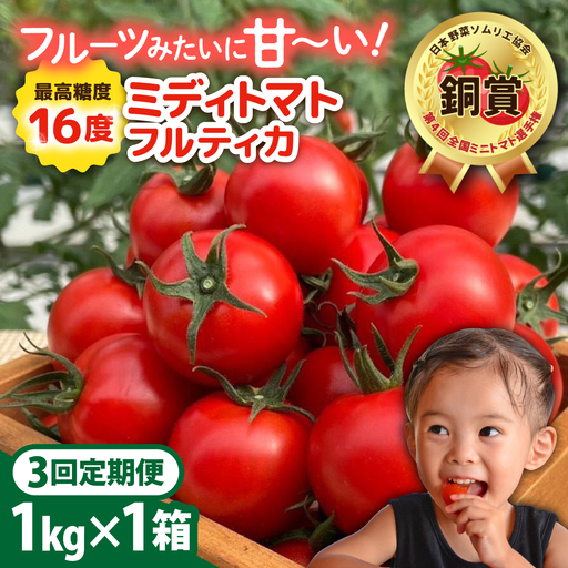 【先行予約】【全3回定期便】 フルティカ 1kg糸島市 / かわぞえ農園 トマト 中玉トマト 【2026年11月以降順次発送】[AAM010]