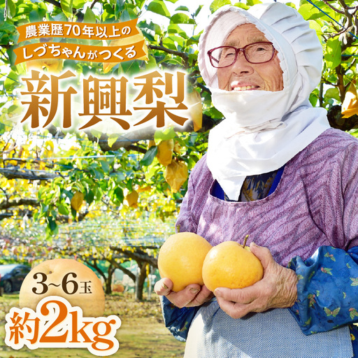 [先行予約]しづちゃんが作る新興梨 約2kg(3〜6玉)農業歴70年以上! なし 果物 旬 フルーツ 甘い ジューシー 果汁 くだもの シャキシャキ 人気 完熟 もぎたて みずみずしい 越前梨 送料無料 福井 あわら市 ※2026年10月上旬以降順次発送予定 [aw075-a011]