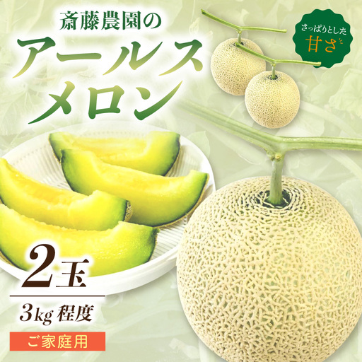 アールスメロン(マスクメロン) 2玉 3kg程度 糖度13度程度≪家庭用≫[配送不可地域:北海道・青森・秋田・岩手・沖縄・離島][1354]