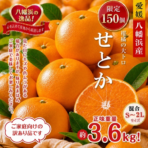 [先行受付]限定150個 柑橘の大トロ!「せとか」約3.6キロ[訳あり品・家庭向け]Y