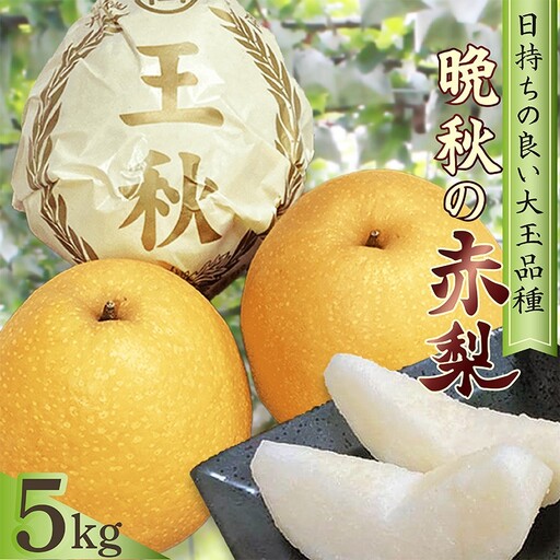 梨 王秋 約5kg(7〜11玉入り) 国産 期間限定 デザート 甘い ジューシー ふるさと 納税 梨 なし ナシ 5kg 先行予約 ふるさと 納税 フルーツ くだもの