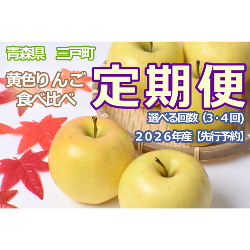 黄色りんご食べ比べ定期便 人気黄色りんご食べ比べ 3回 定期便　・ぐんま名月：約5kg・王林：約5kg・シナノゴールド：約5kg