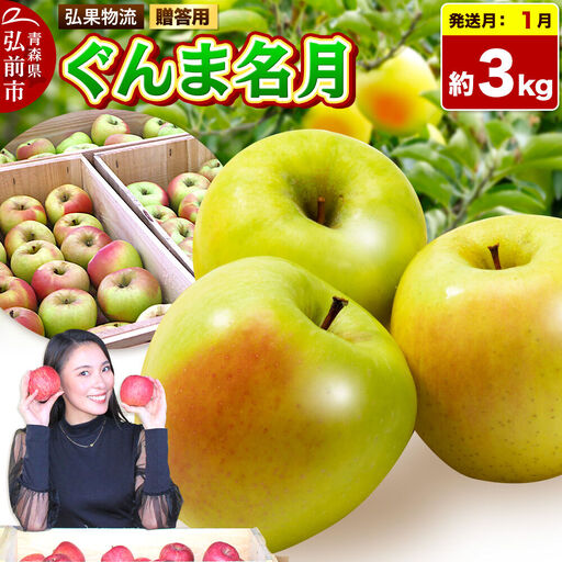 【27年1月発送】りんご ぐんま名月【贈答用】約3kg 先行受付 青森県 弘前市 果物 フルーツ 林檎 リンゴ くだもの ギフト 贈り物