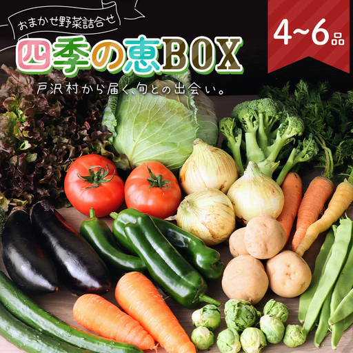 野菜詰合せ 農家のおまかせ 四季の恵BOX 4〜6品 旬の野菜を1回お届け
