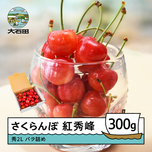 [先行予約] 令和9年産 さくらんぼ 紅秀峰 秀2L 300g