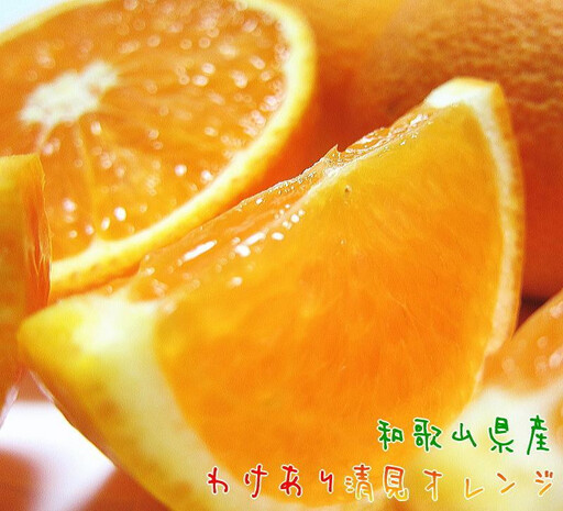 有田育ちの 完熟 清見 オレンジ(ご家庭用)約1.5kg[先行予約][MS166]