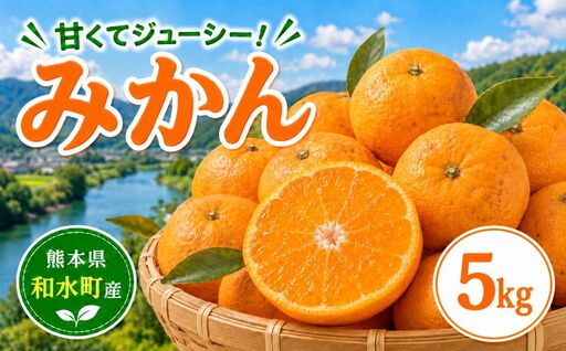 熊本県 和水町産 大小混合 みかん 5kg ミカン フルーツ 果物