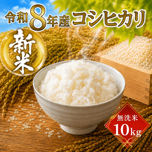 ＼まもなく発送開始／ 無洗米 令和8年度産 コシヒカリ 10kg [A-mry006]